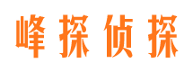 奉新市调查公司